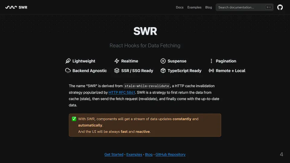 SWR 이미지